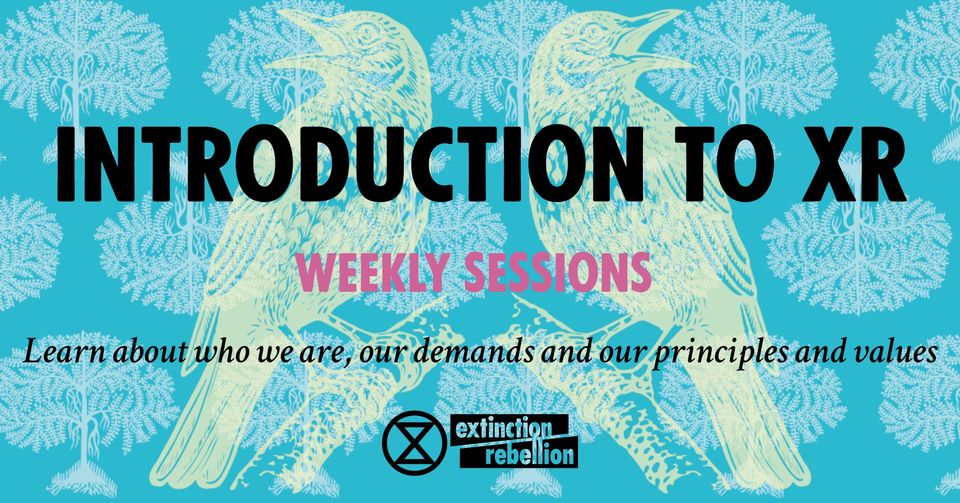 Introduction to Extinction Rebellion